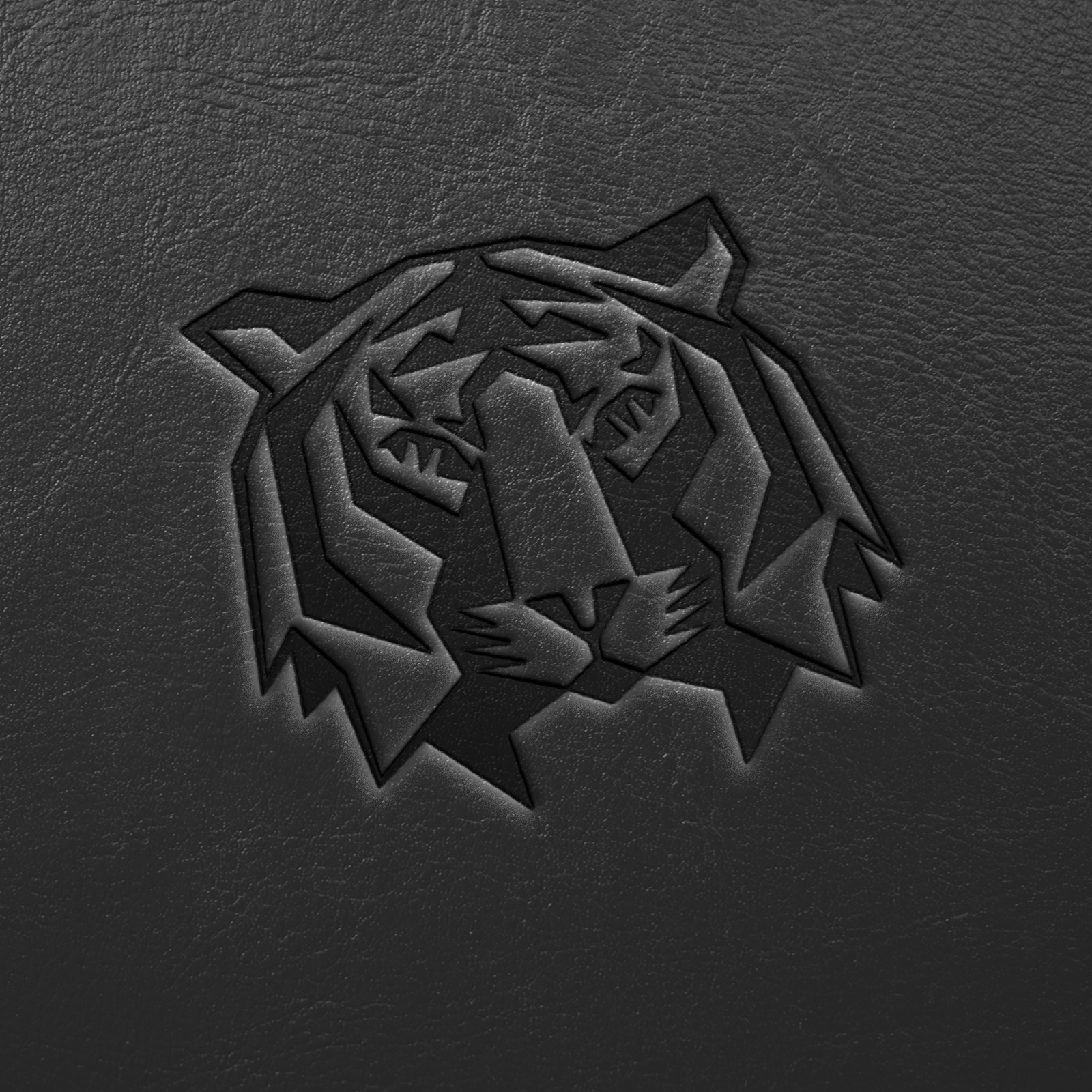 Portfolio 11 Image 1