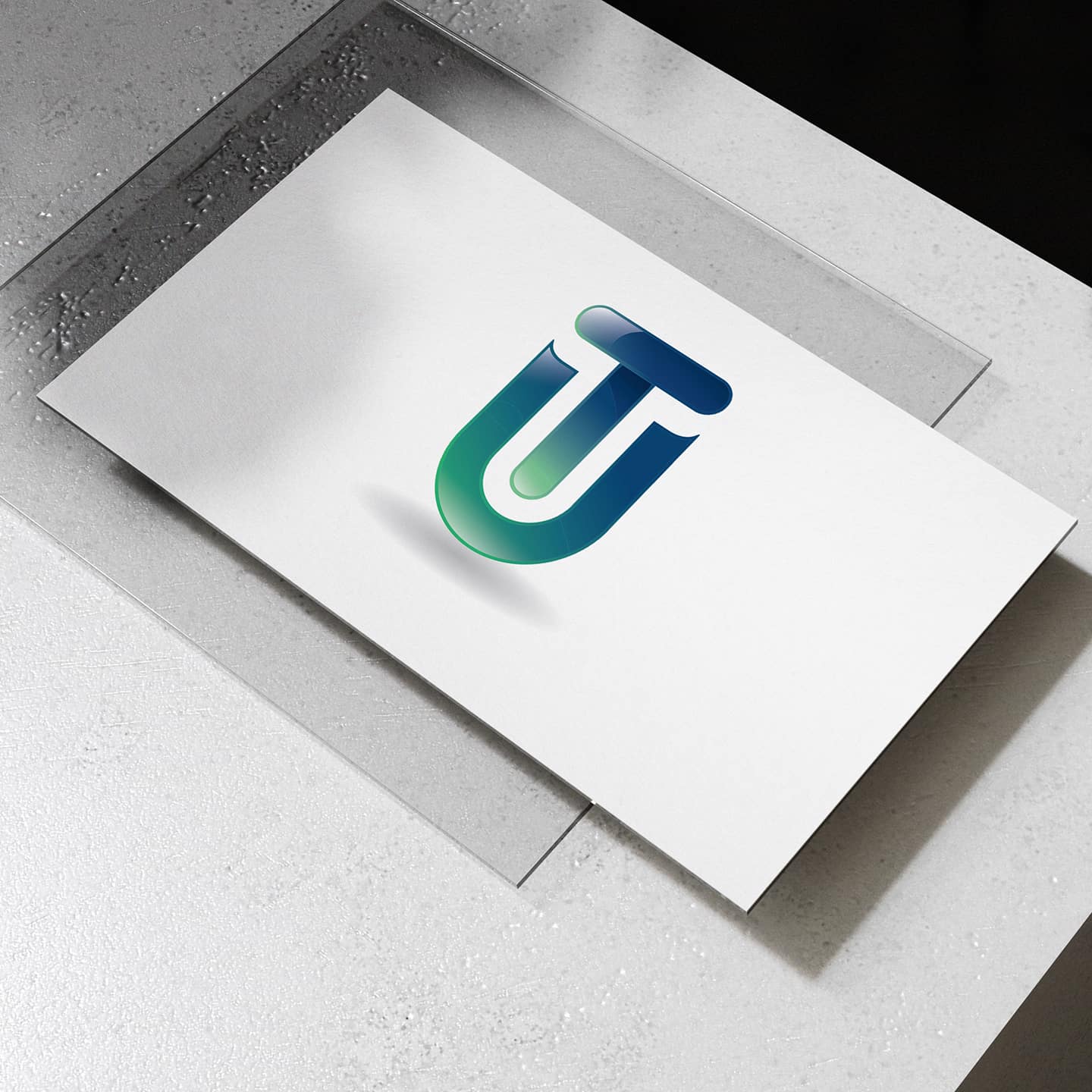 Portfolio 15 Image 1