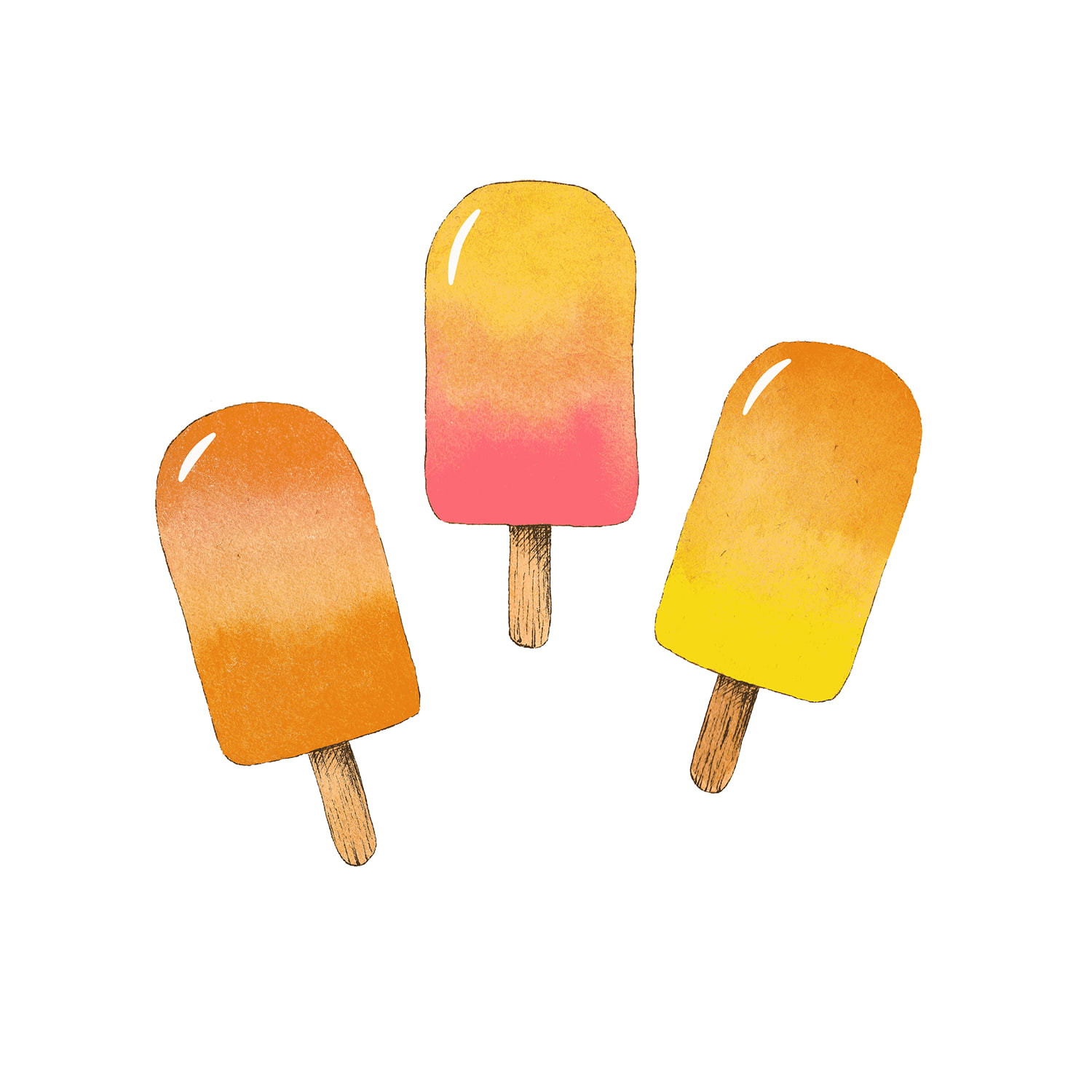 Portfolio 12 Image 2